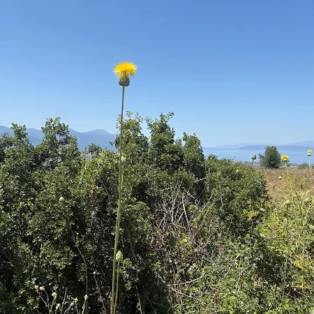 Tueluesah With Own Garden And Fruit Trees, 950m To Beach, 2 Bedrooms *